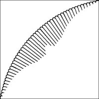 (image for) Judys DPD Q Circle Feathers-L04312*