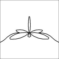 (image for) Dragonfly p2p Single-L02320*