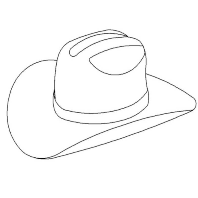 10 gallon hat