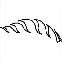 (image for) Judys Poinsettia Left Side Leaf Curves-L03641*