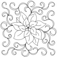 (image for) Poinsettia LoneStar_block-L00448