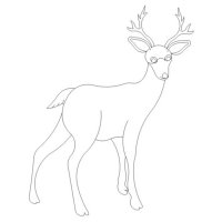 (image for) Deer 2-L03739*