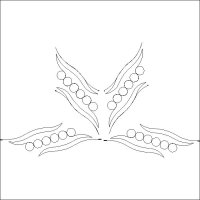 (image for) Bubbles and Curves_Parallelograms_p2p-L06806