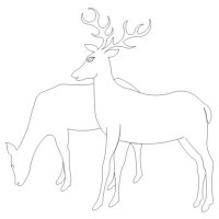 (image for) Deer 1-L03738*