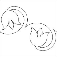 (image for) Curled Tulips_e2e_2-L06352