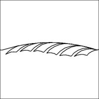 (image for) Judys DPD Q Small Point Leaf-L04304*