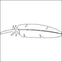 (image for) Eagle Feather Border-L00560
