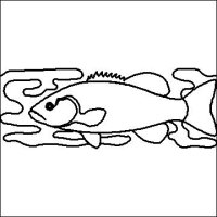 (image for) Bass Fish_Border-L01023