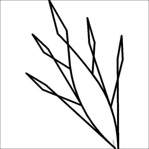 (image for) JN Cactus Flower Star_Points-L06656