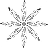 (image for) JN Ponderosa Pine Star_Center Star-L06468