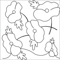 (image for) Poppies_e2e_2-L06899