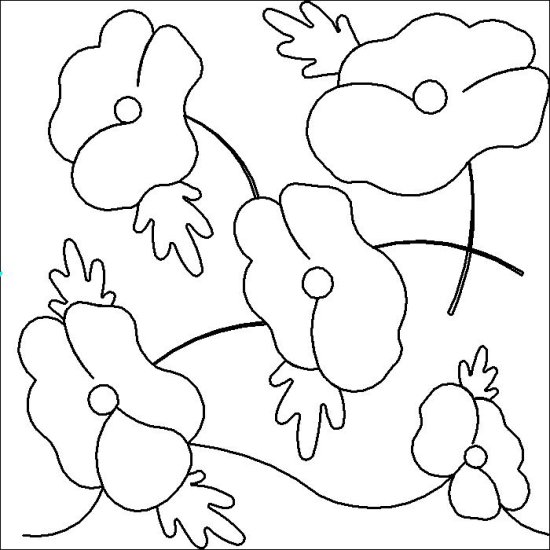 (image for) Poppies_e2e_2-L06899