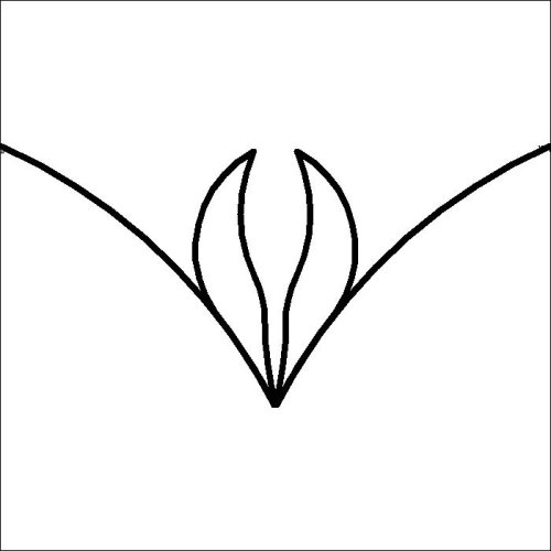 (image for) Rosina_Small Leaf Triangle_p2p-L06253