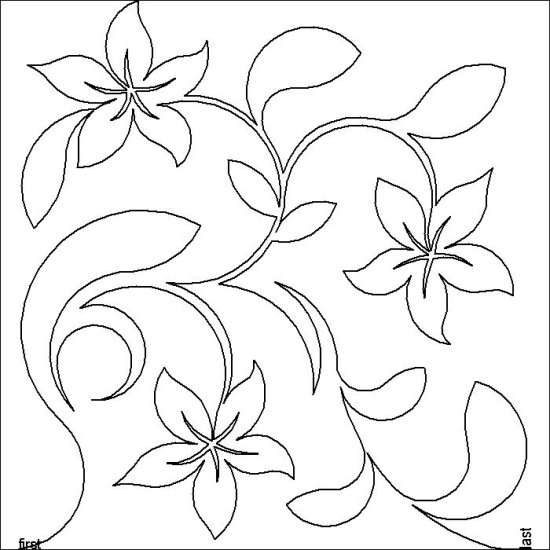 (image for) Star Flowers_e2e_2-L06853