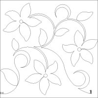 (image for) Star Flowers_e2e_3-L06854