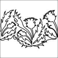 (image for) Thistle E2E 1-L04684*